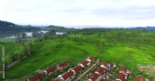 Green tea field and lake, Aerial Green Tea and Homestay in Situ Patenggang, Ciweday Bandung Indonesia photo