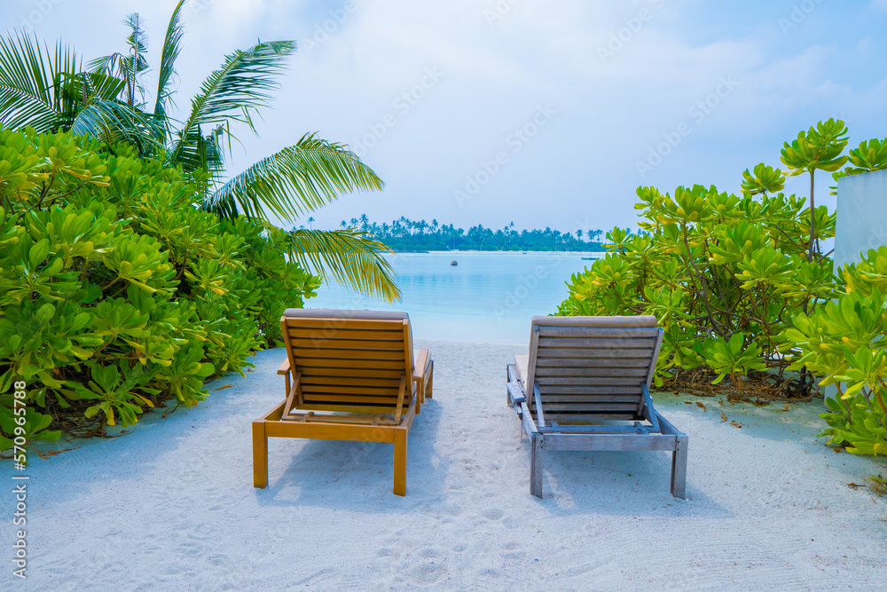 White sandy beached and green trees in the Maldives or tropical island with blue skies and blue ocean for travel and hospitality industry travel Asia travel Maldives travel the tropical islands