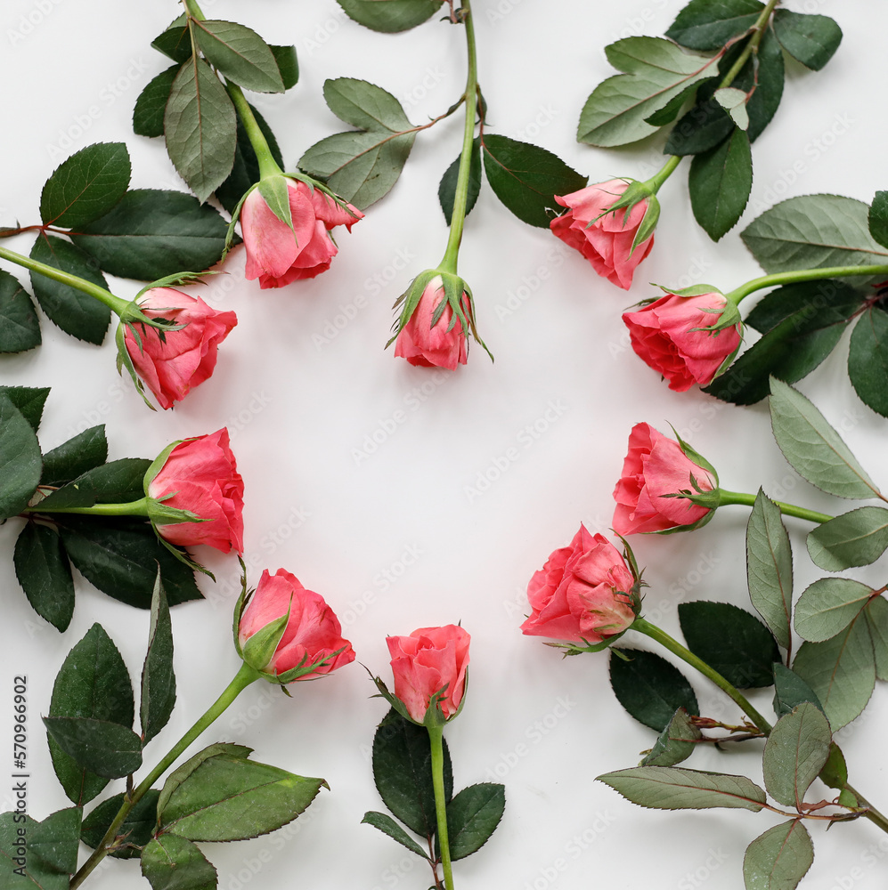 Flowers composition. Frame made of red rose on white background. Flat lay, top view, copy space.