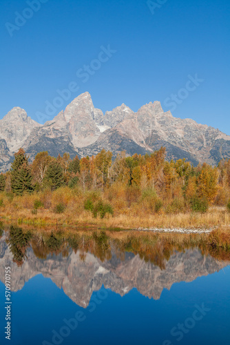Scenic Autumn Reflection Landscape in Grand Teton National Park Wyoming © equigini