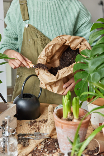 Faceless woman takes soil from bag going to transplant green potted flower grows plants inside uses different gardening tools stands near messy table with dirt. Household chores for replanting