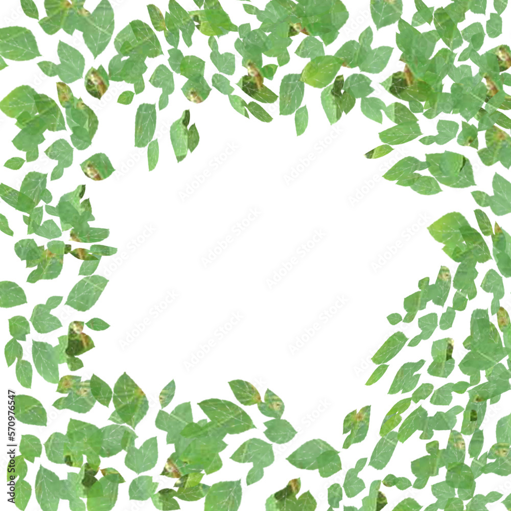 Frame with green leaves on a white background. Frame with green leaves on a white background.