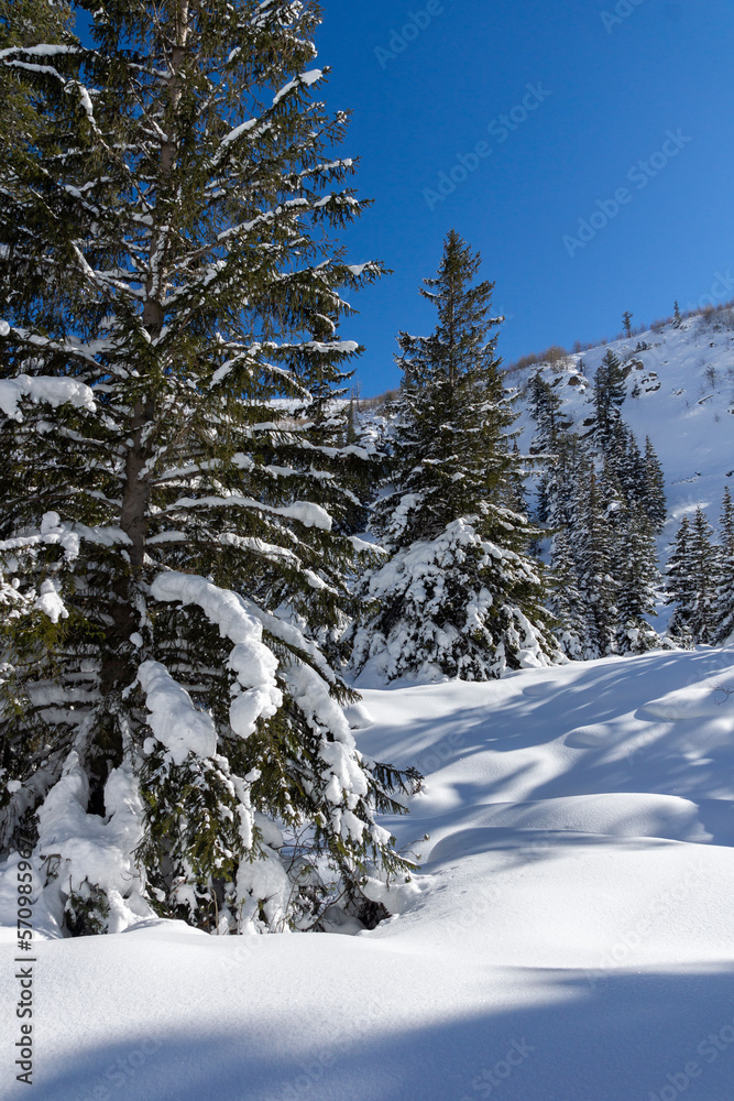 Winter view of Rila Mountain near Malyovitsa peak, Bulgaria