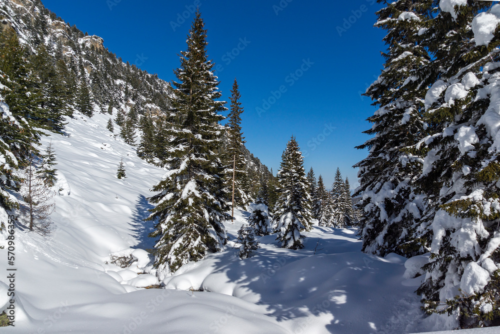 Winter view of Rila Mountain near Malyovitsa peak, Bulgaria Winter view of Rila Mountain near Malyovitsa peak, Bulgaria