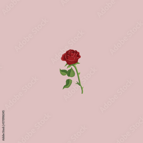 Red rose on a pink background. Seamless pattern. Previous illustration.