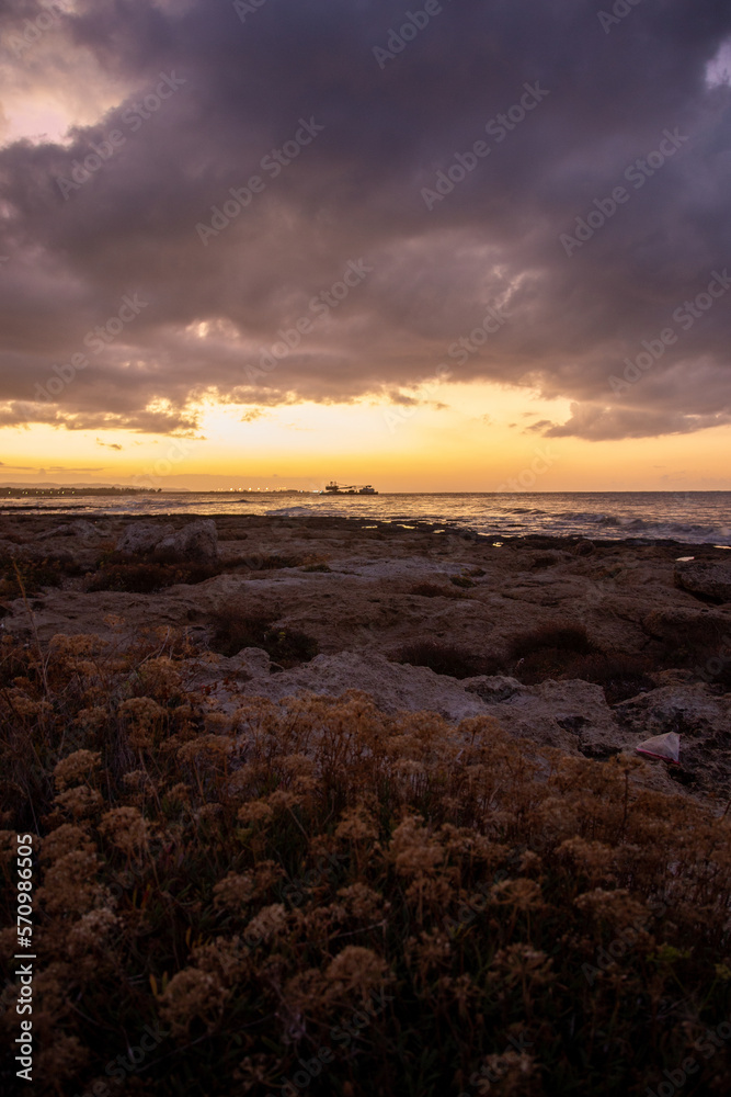 Landscape with sunrise and a ship in the background, with flowers in the foreground, Cyprus
Landscape with sunrise and a ship in the background, with flowers in the foreground, Cyprus