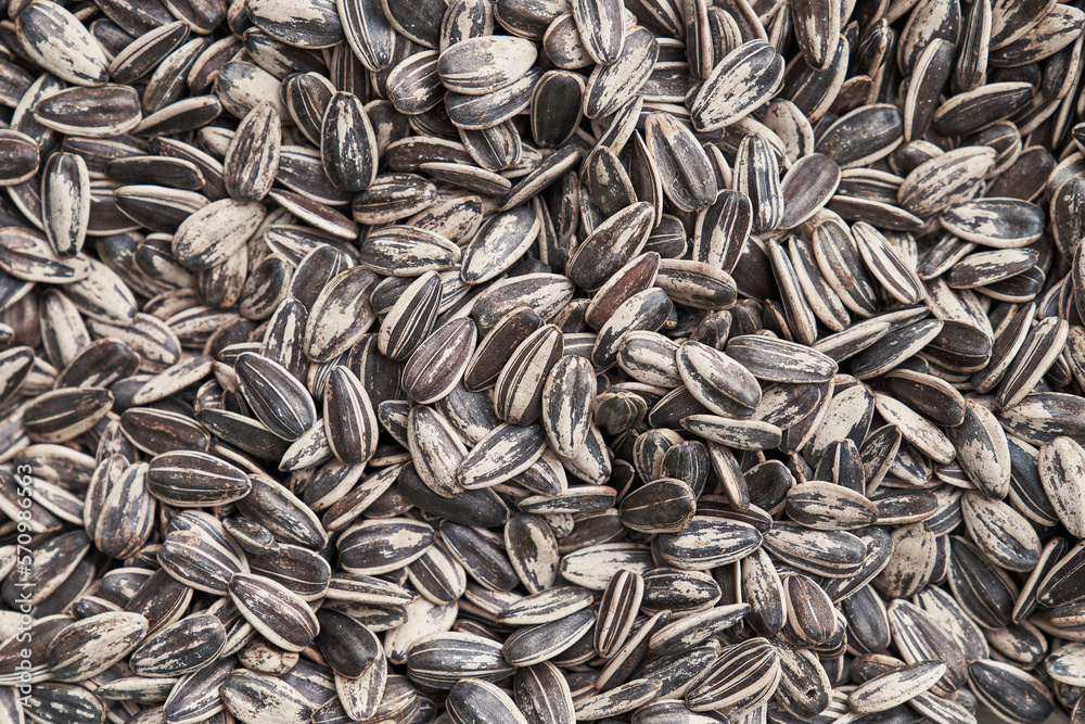 Beautiful sunflower seeds image Beautiful sunflower seeds image