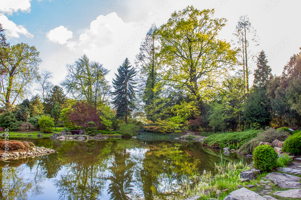 Amazing panorama of Japanese garden with reflection in water and stepping stones