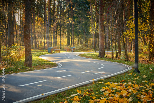 Asphalt footpath in fall park with gold fallen leaves. Sunny day in autumn forest at national park with curvy roadway. Road in forest. Scenic fall landscape of road through the park.