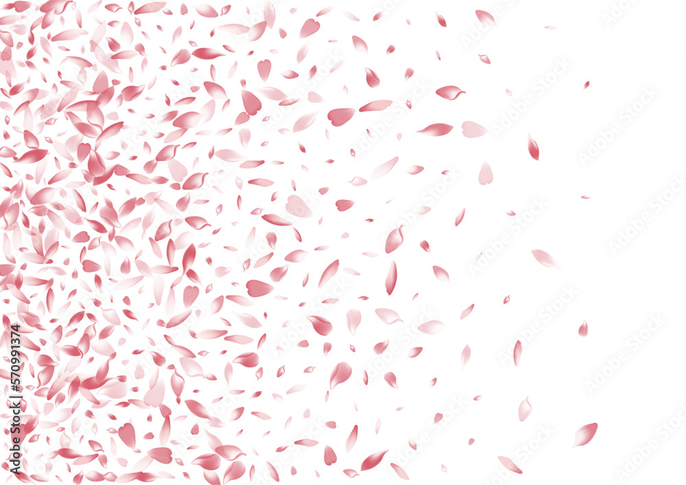 Transparent Sakura Petal Vector White Background. Transparent Sakura Petal Vector White Background.