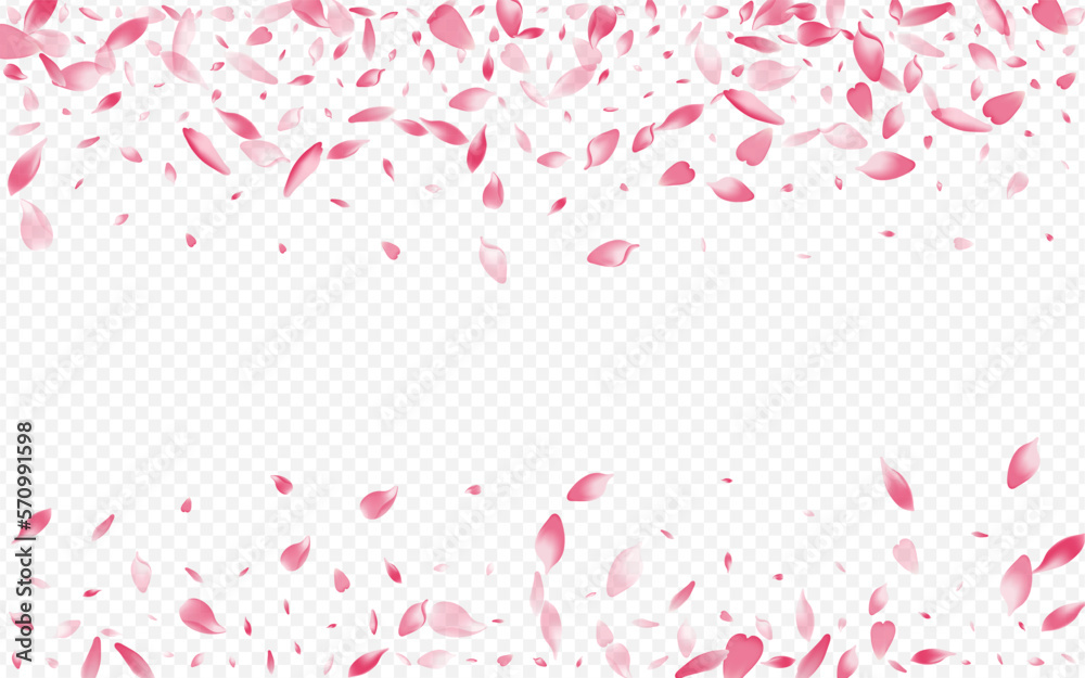 White Lotus Vector Transparent Background. Peach