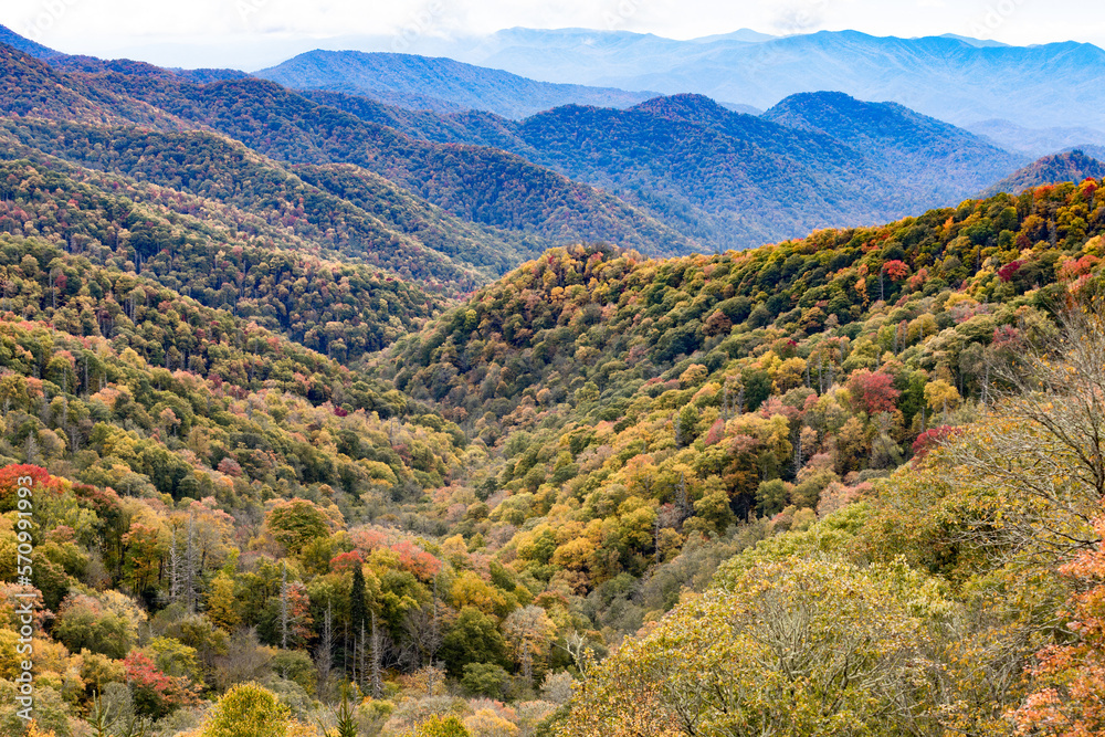 Fall Colors In Smoky Mountains National Park