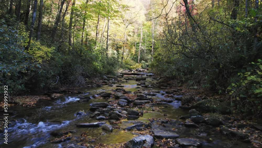 Flying up Tree Lined South Carolina River 4K features a view from a drone flying up a river in the northern mountains of South Carolina. Flying up Tree Lined South Carolina River 4K features a view from a drone flying up a river in the northern mountains of South Carolina.