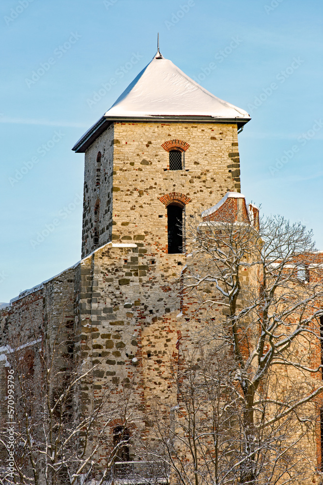 Zamek Tenczyn w Rudnie