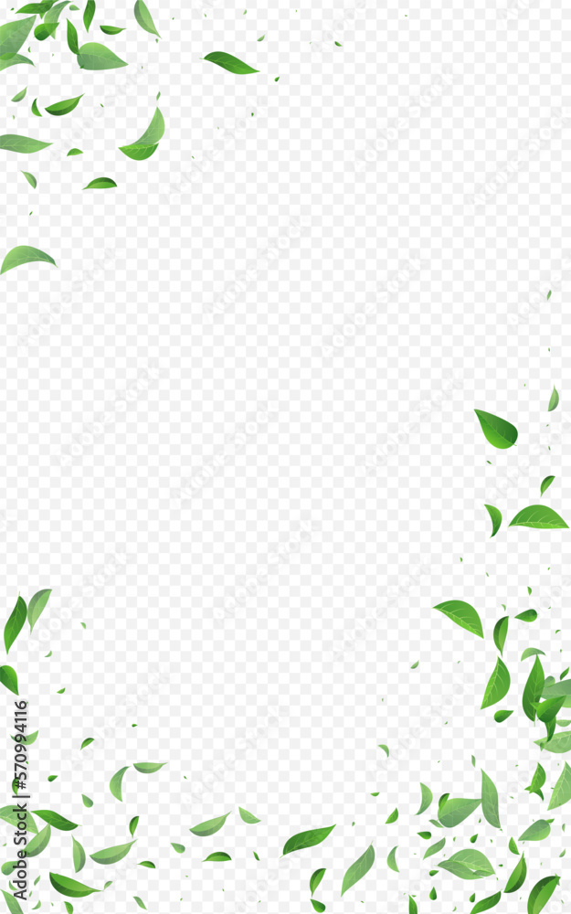 Forest Foliage Wind Vector Transparent Background Forest Foliage Wind Vector Transparent Background