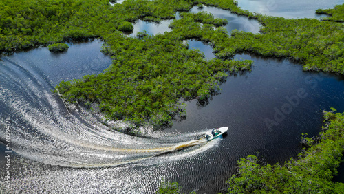 motoring through the everglades