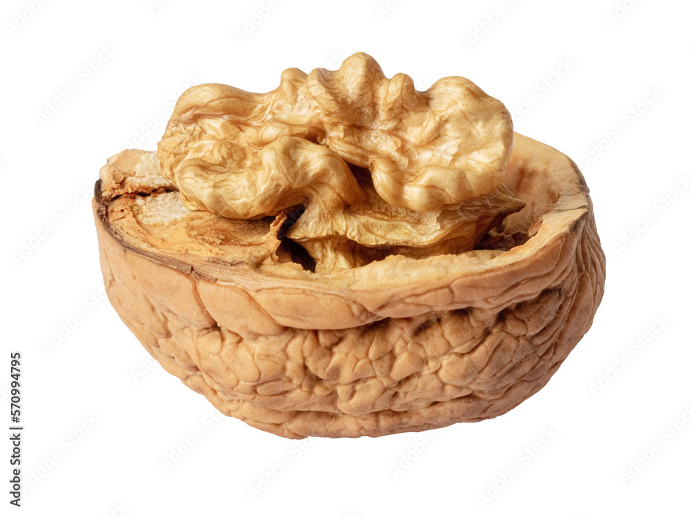 Walnut on a white isolated background. Half of the nut in the shell, half - without the shell