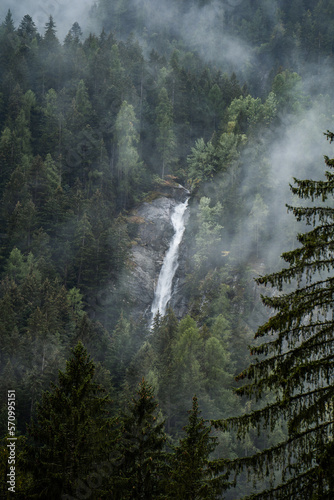 Moody atmosphere during a rainy and foggy day in the forest of Val di Genova  Trentino Alto Adige  Northern Italy