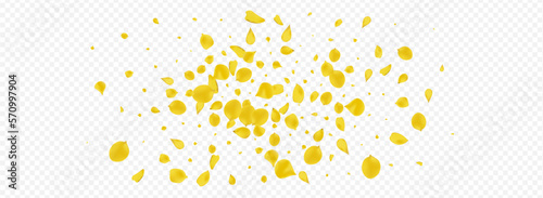 Mustard Floral Japan Vector Panoramic Transparent
