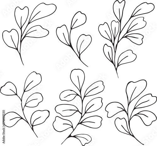 Set of graphic vector plant branches with leaves and flowers. Vector elements for wedding design, logo design, packaging and other ideas