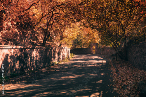 autumn road with stone fence and red tree shadows