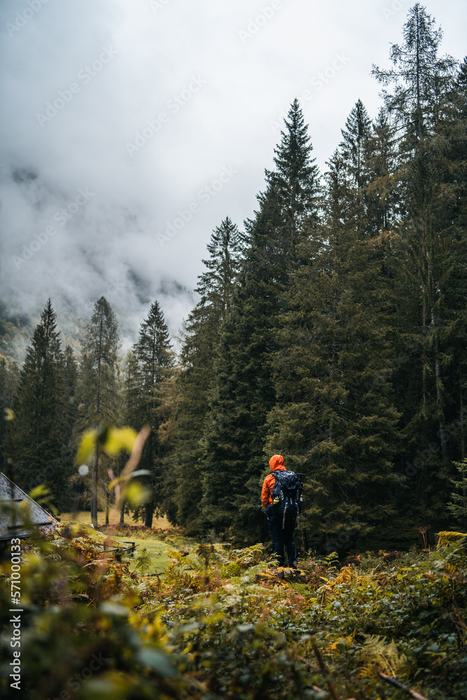 A hiker with orange raincoat is exploring the surroundings of an isolated mountain hut in the forest of Val di Genova, during a rainy and foggy autumnal day, Trentino Alto Adige, Northern Italy