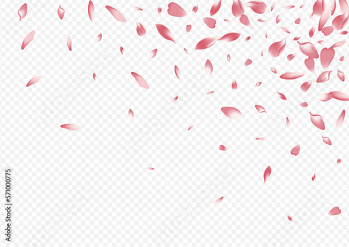 Purple Floral Vector Transparent Background.