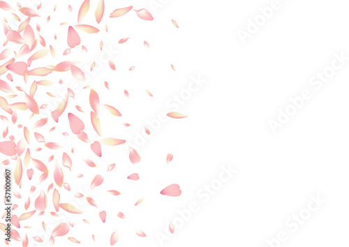 Purple Rose Petal Vector White Background. Pink