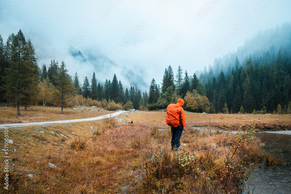 A hiker with orange raincoat is exploring the the swamps and meadows near the forest of Val di Genova, during a rainy and foggy autumnal day, Trentino Alto Adige, Northern Italy