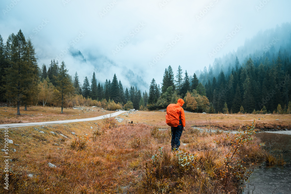 Fototapeta premium A hiker with orange raincoat is exploring the the swamps and meadows near the forest of Val di Genova, during a rainy and foggy autumnal day, Trentino Alto Adige, Northern Italy