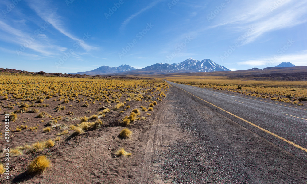 Fototapeta premium Landscape along the road to miscanti and miniques park