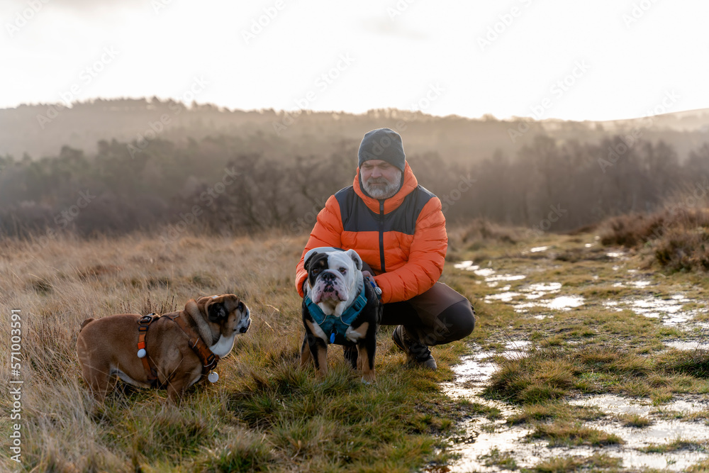 A happy pensioner in orange coat with English bulldogs in forest, going for a walk in Peak District on sunny worm day. Dog training. Free time in retirement. A happy pensioner in orange coat with English bulldogs in forest, going for a walk in Peak District on sunny worm day. Dog training. Free time in retirement.