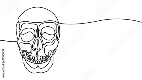 Human skull drawn in one line, stylized on a white background. Continuous line drawing of a skull. Line art, vector illustration photo