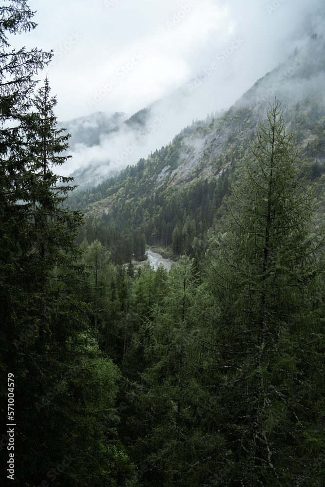 Moody atmosphere during a rainy and foggy day in the forest of Val di Genova, Trentino Alto Adige, Northern Italy Moody atmosphere during a rainy and foggy day in the forest of Val di Genova, Trentino Alto Adige, Northern Italy