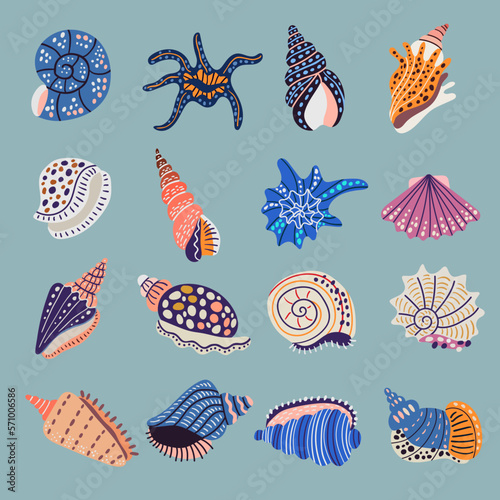 Seashell. Ornamental stylized illustrations of marine symbols doodle seashel recent vector collection