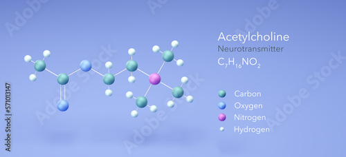 acetylcholine molecule, molecular structures, Neurotransmitter, 3d model, Structural Chemical Formula and Atoms with Color Coding photo