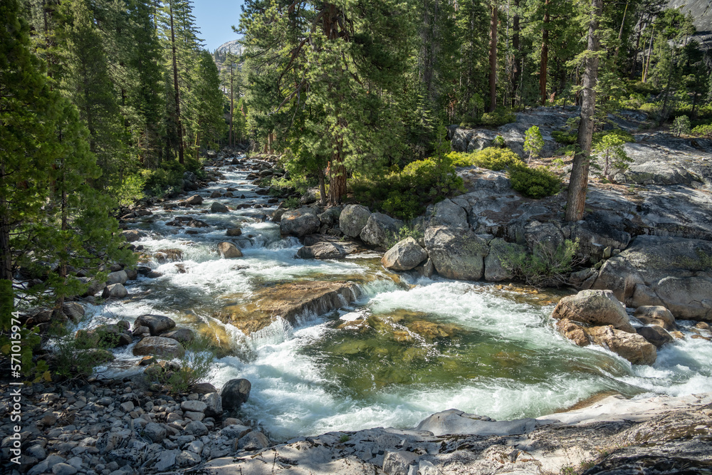 Pine Trees Flank the Tuolumne River as it Cascades Down Layers of Rock Pine Trees Flank the Tuolumne River as it Cascades Down Layers of Rock