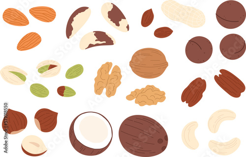 Dried nuts mix set, walnut and seed, coconut. Vegan food, almond and hazelnut, peanuts dry. Isolated pistachio, cartoon healthy raw nut racy vector clipart photo