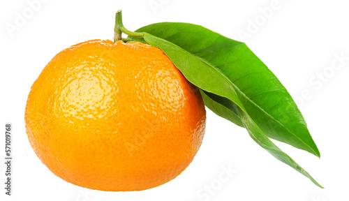 One tangerine fruit with leaves cut out photo