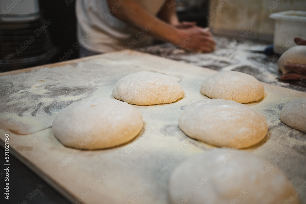Several balls of fresh bread dough after preshaping process in handmade bakery Several balls of fresh bread dough after preshaping process in handmade bakery
