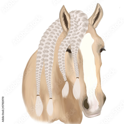 Bild auf Leinwand Palomino Gypsy Vanner / Tinker / Irish cob with plaited mane