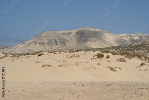 Dunes of the Sotavento Beach in Jandia  Fuerteventura