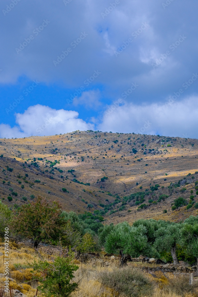 landscape with sky