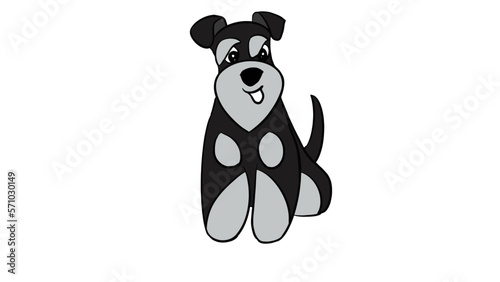 illustration of a black and silver schnauzer miniature 