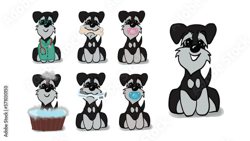  cute Miniature Schnauzer illustrations set 