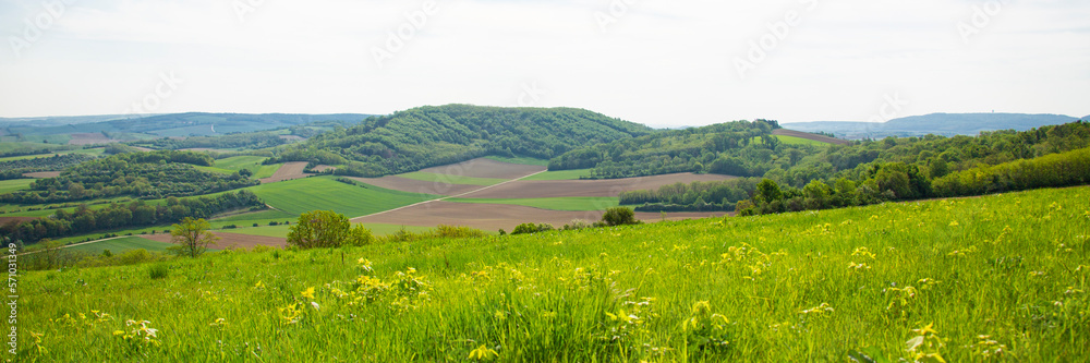 green spring landscape panorama grass