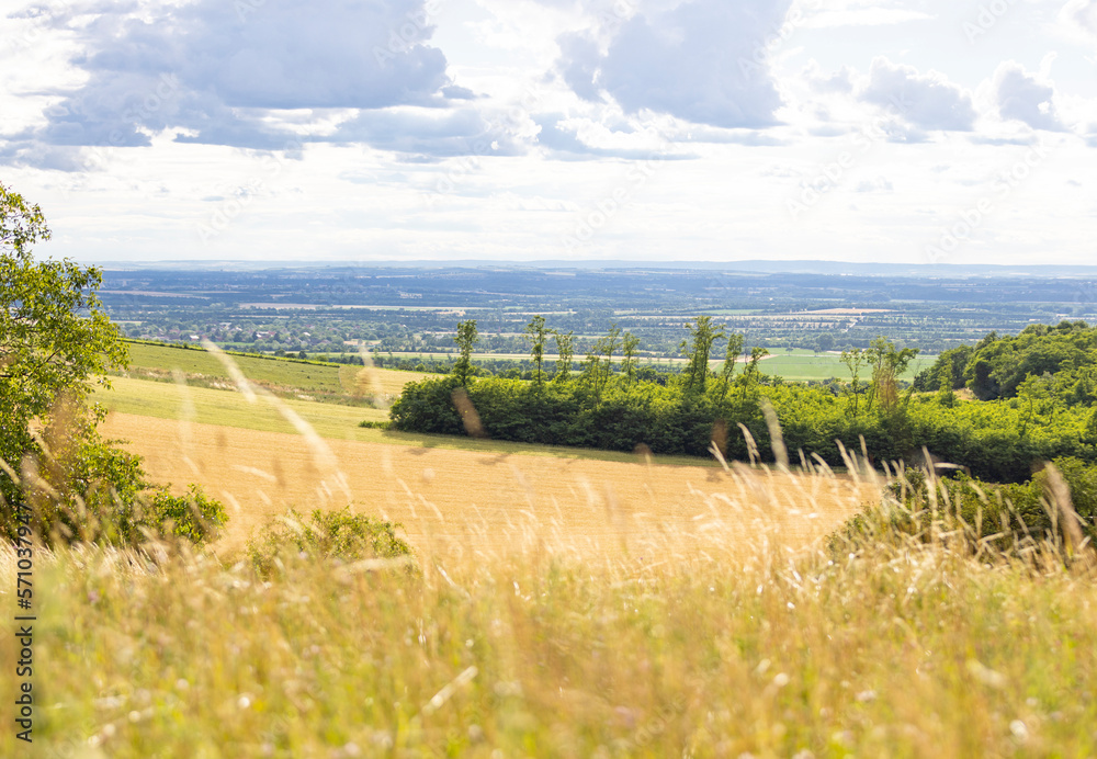 Obraz premium grass landscape summer lower austria