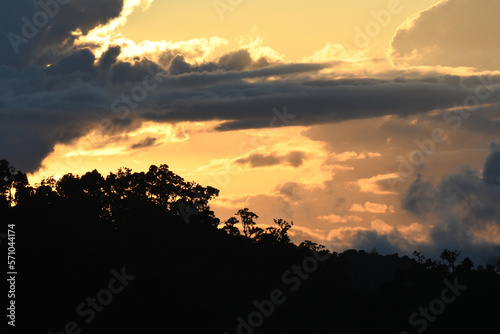 Sunset under the clouds, with trees silhouette in the background