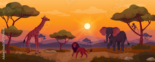 Kenya sunset. Africa plaine landscape, animal silhouettes in meadow, african safari prairie wildlife giraffe savannah wilderness panoramic background ingenious vector illustration