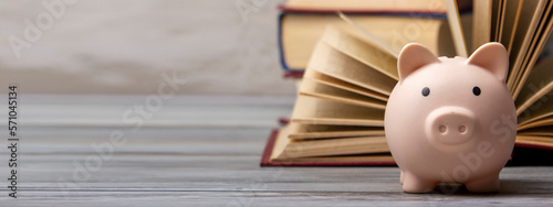 Piggy bank and book. College fees saving concept, copy space for text